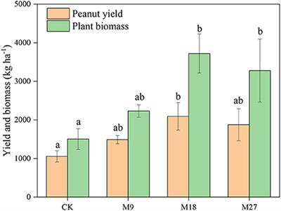 Manure applications alter the abundance, community structure and assembly process of diazotrophs in an acidic Ultisol